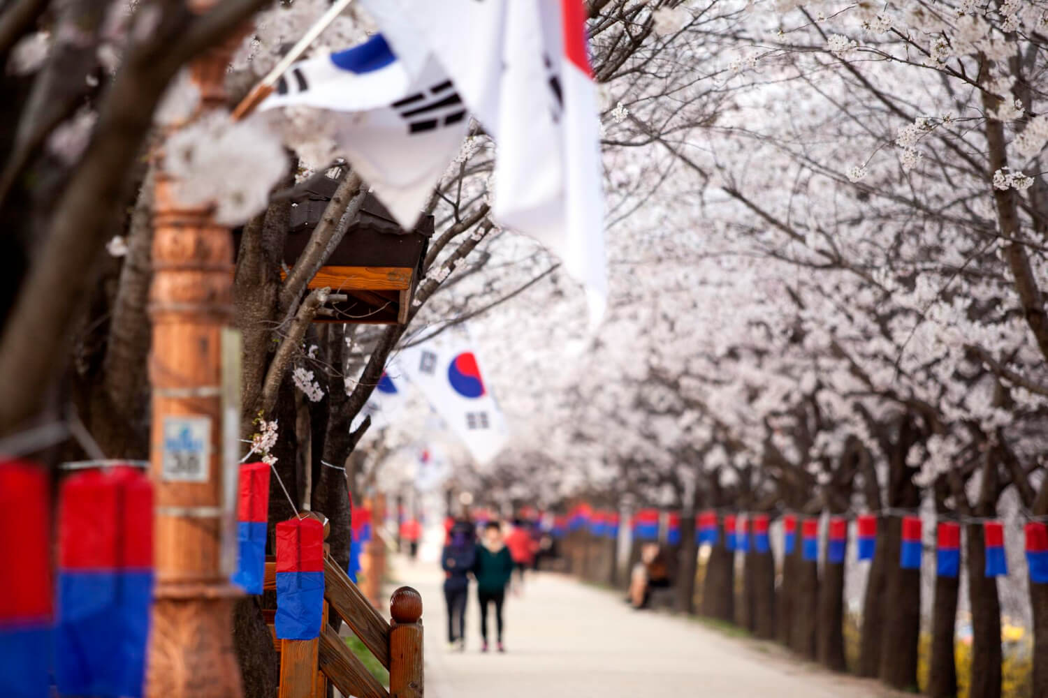 Korean Translation Services  Locate Translate